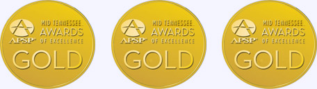 2014 APSP Gold Awards of Excellence for Peek Pools & Spas - custom pool builder